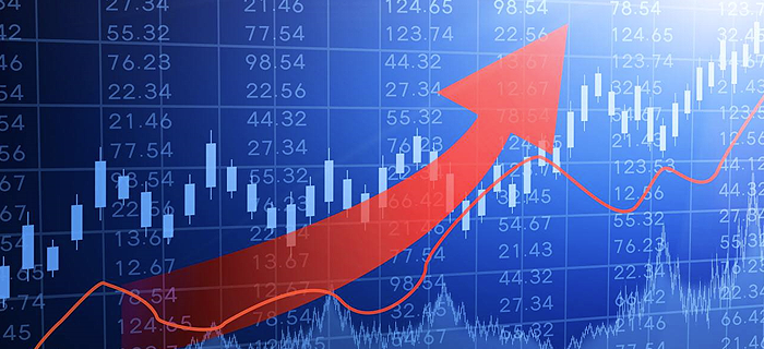 新葡萄平台注册